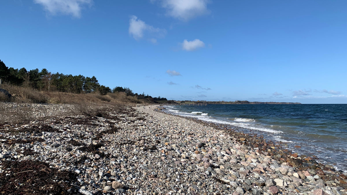 Sanketur ved Stranden - Dette kan du sanke i April.