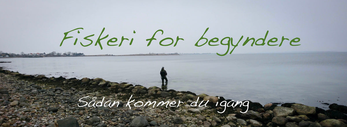 Fiskeri for begyndere – sådan kommer du i gang