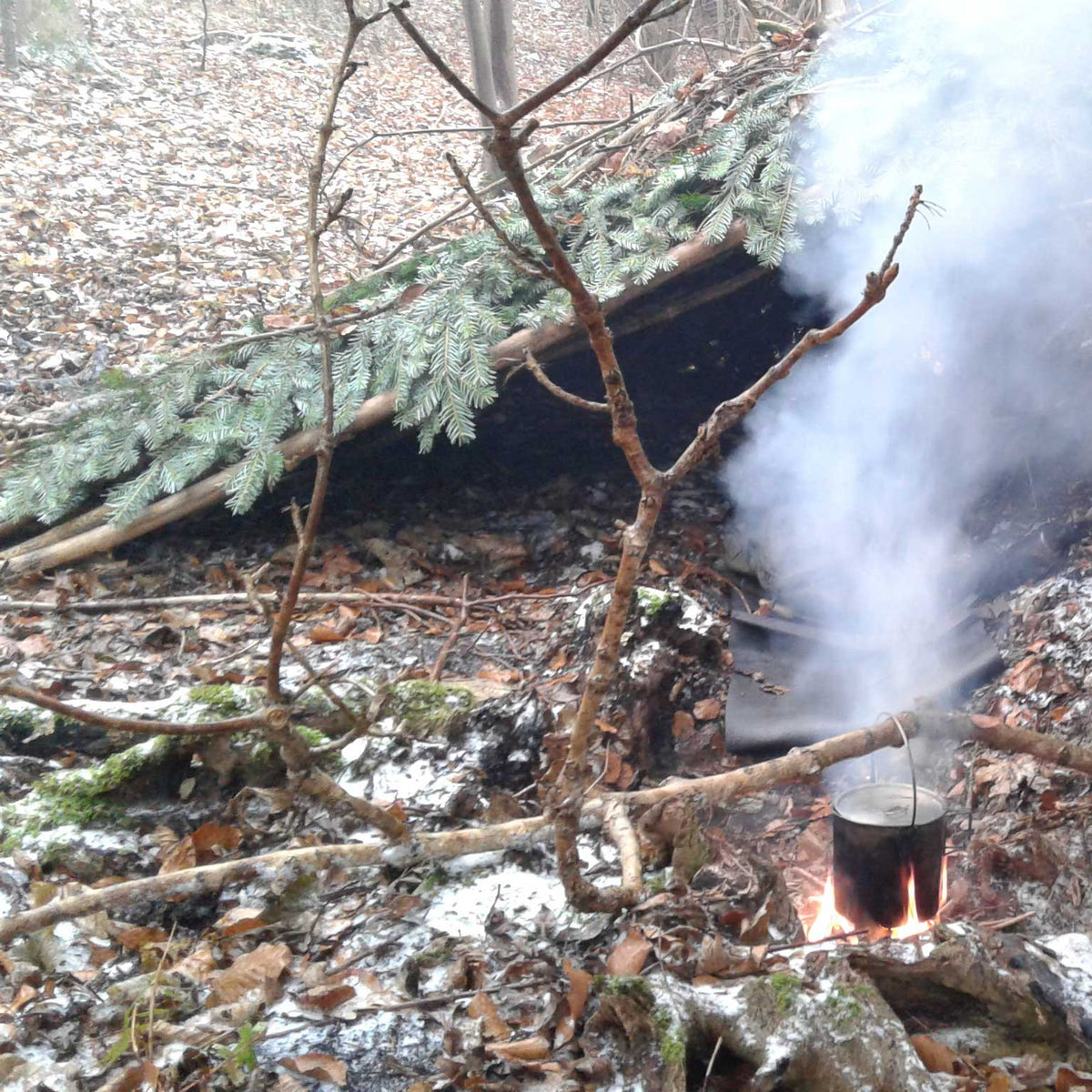 Survival shelter