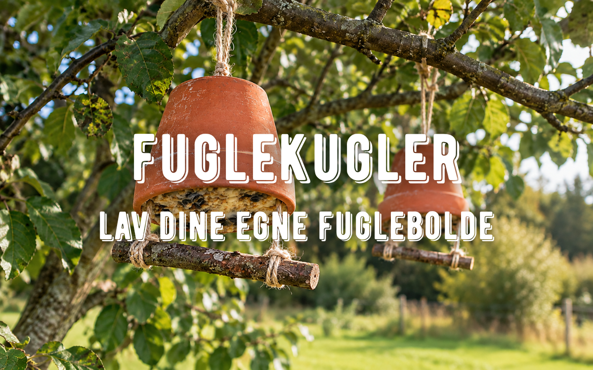 fuglekugler
