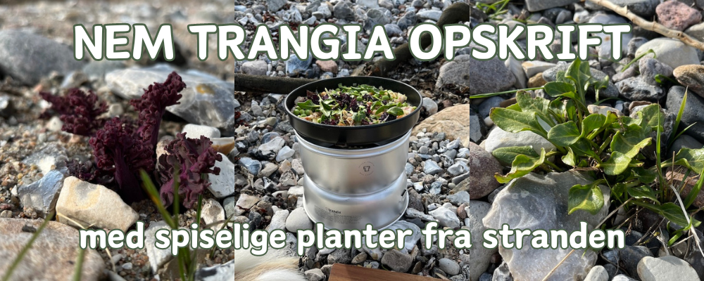 Trangia nem opskrift med spiselige planter fra Stranden