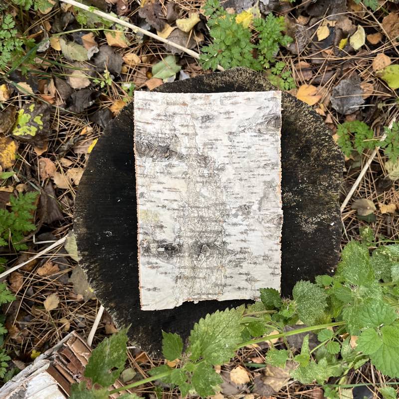 Birkebark 15 x 20 cm Bushcraft