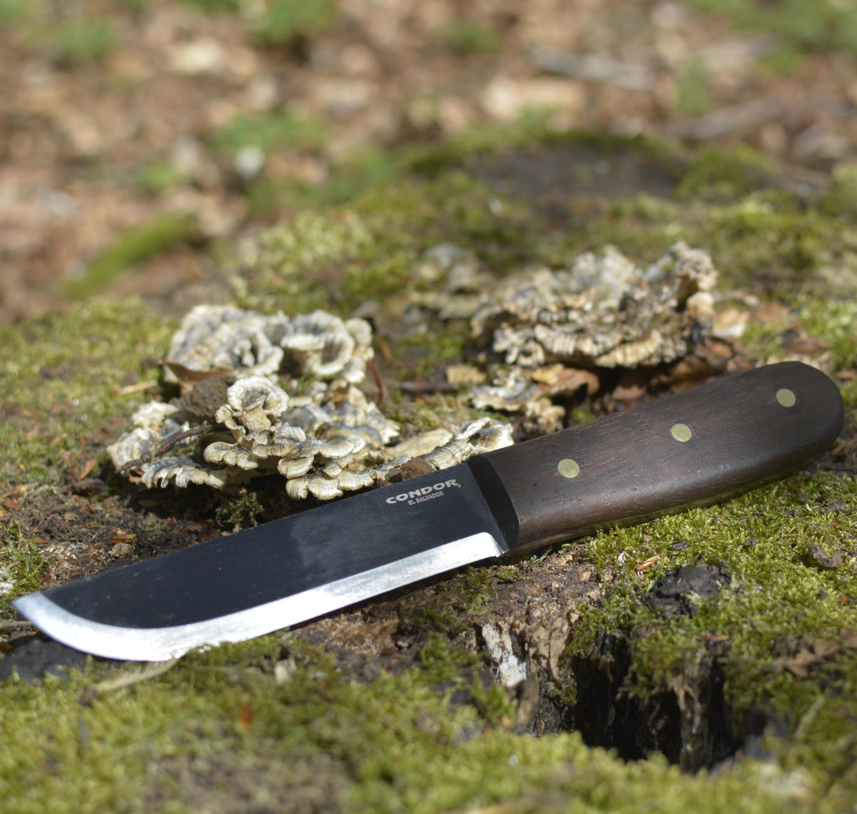 Bushcraft Basic Knife Condor