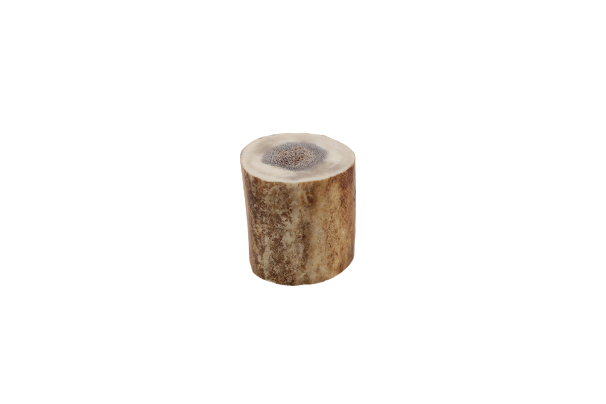Rensdyr Gevir Rensdyrtak Bushcraft