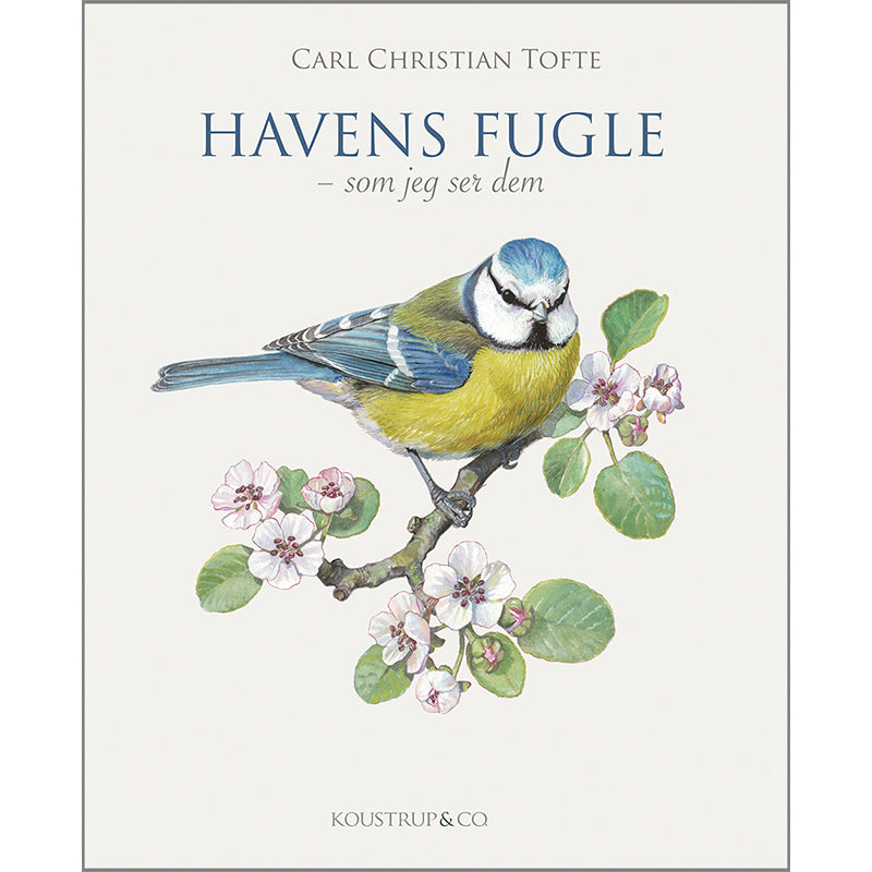 Havens Fåglar - Bok