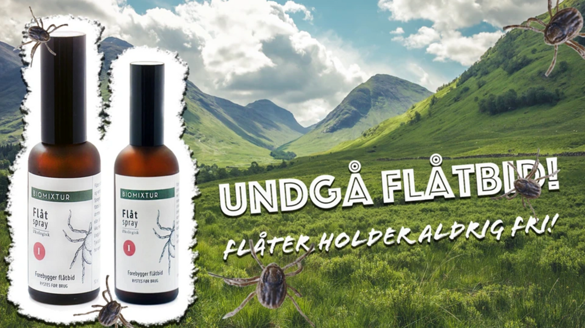 Flåter & flåtbid