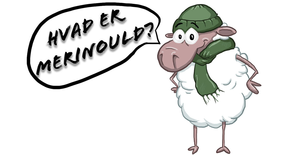 Hvad er merinould?