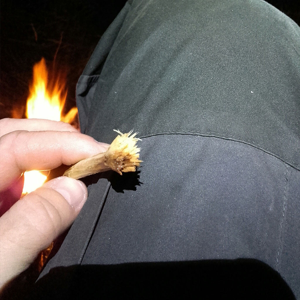 Bushcraft » Sådan Improvisere du en tandbørste i vildmarken!