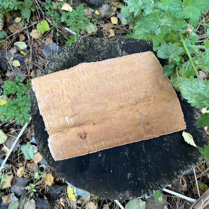 Birkebark 15 x 20 cm Bushcraft