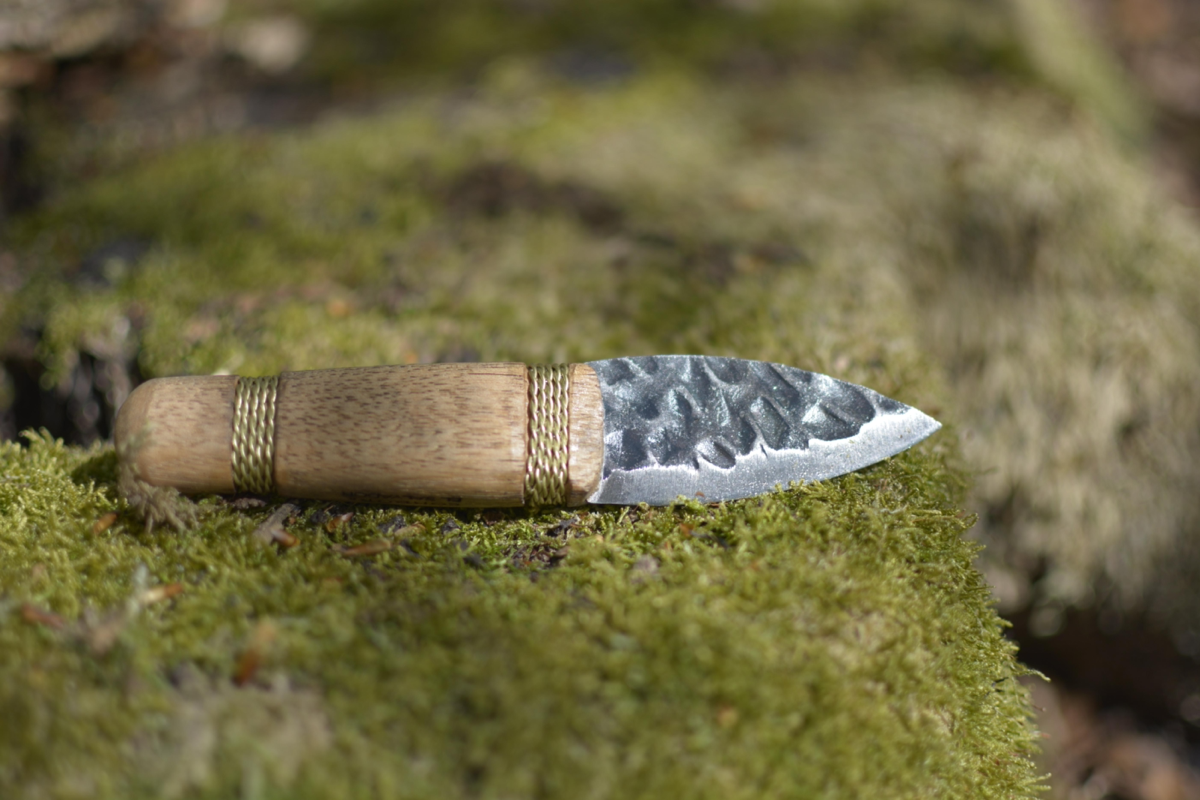 Condor Otzi
