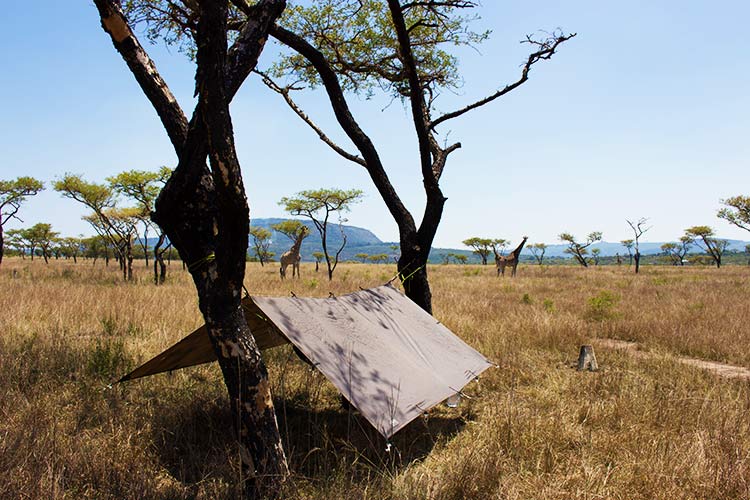 DD Hammocks Tarp 3 x 3 meter